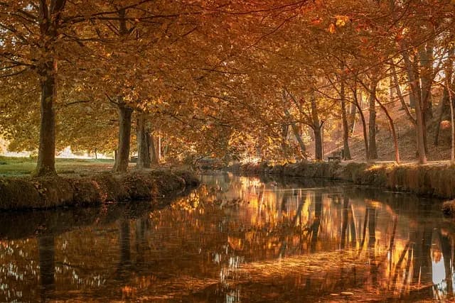 Tecnologías de salud que puedes usar en casa